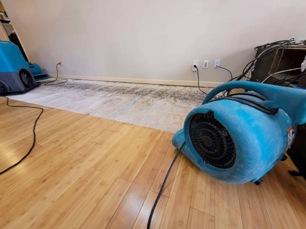Reliable Water Damage Restoration contractor in Westville, IL by Hirex Water Damage