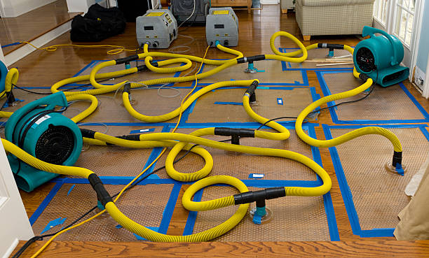 Professional Water Damage Restoration technician working in Westville, IL